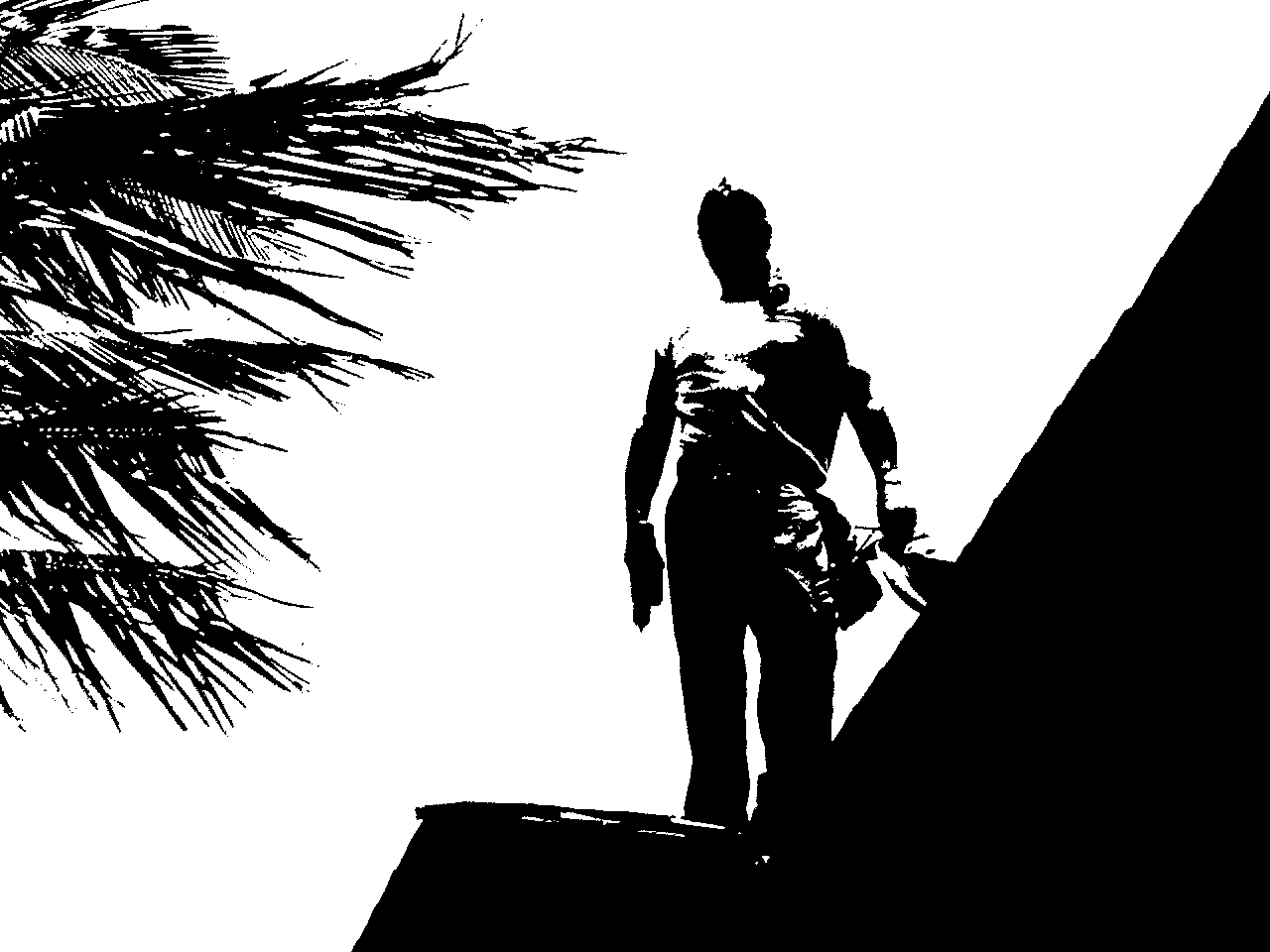 Roofing process in action in Maui